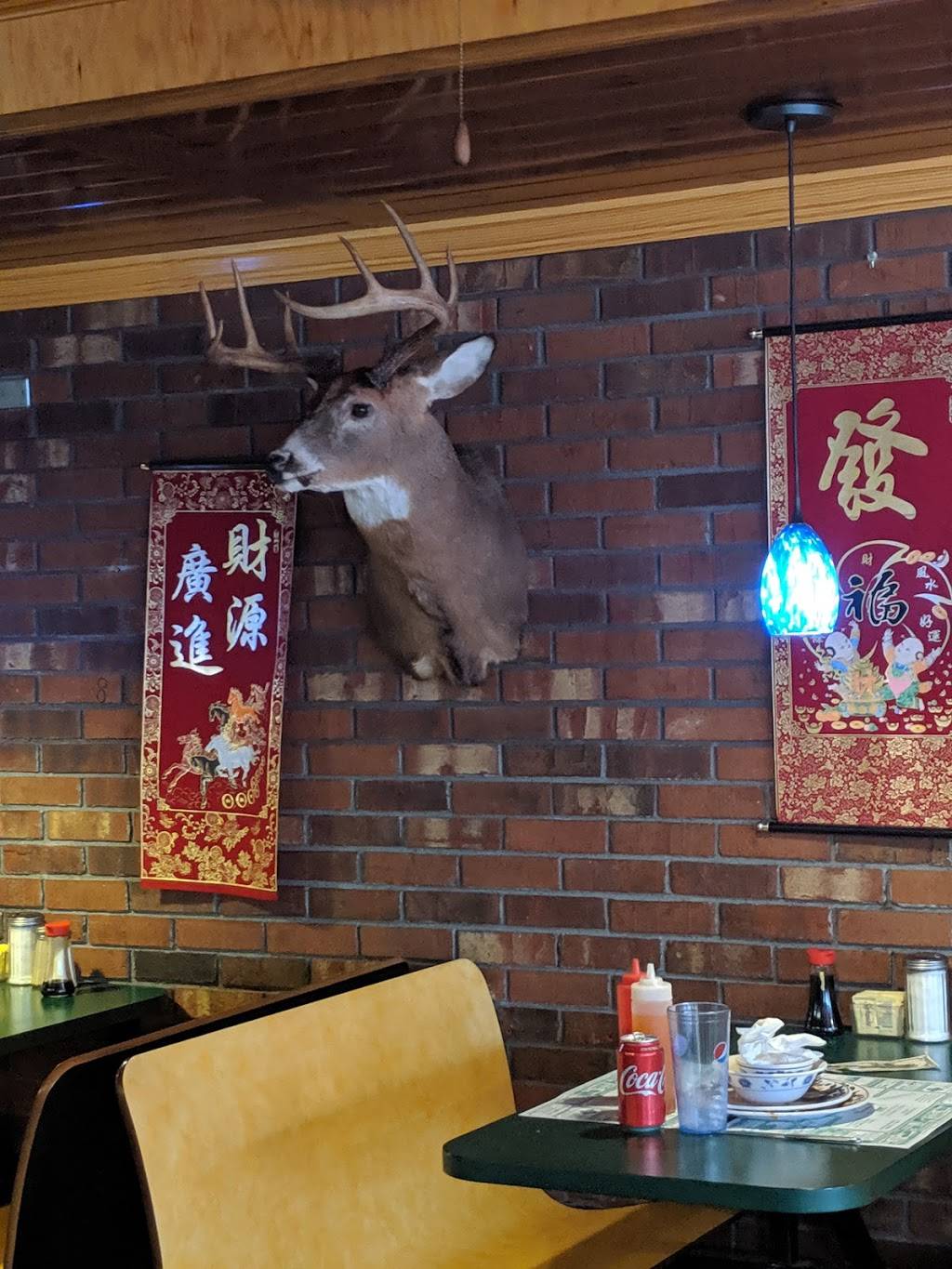 Wok & Roll | restaurant | 388 E Main St, Newport, VT 05855, USA | 8023349288 OR +1 802-334-9288