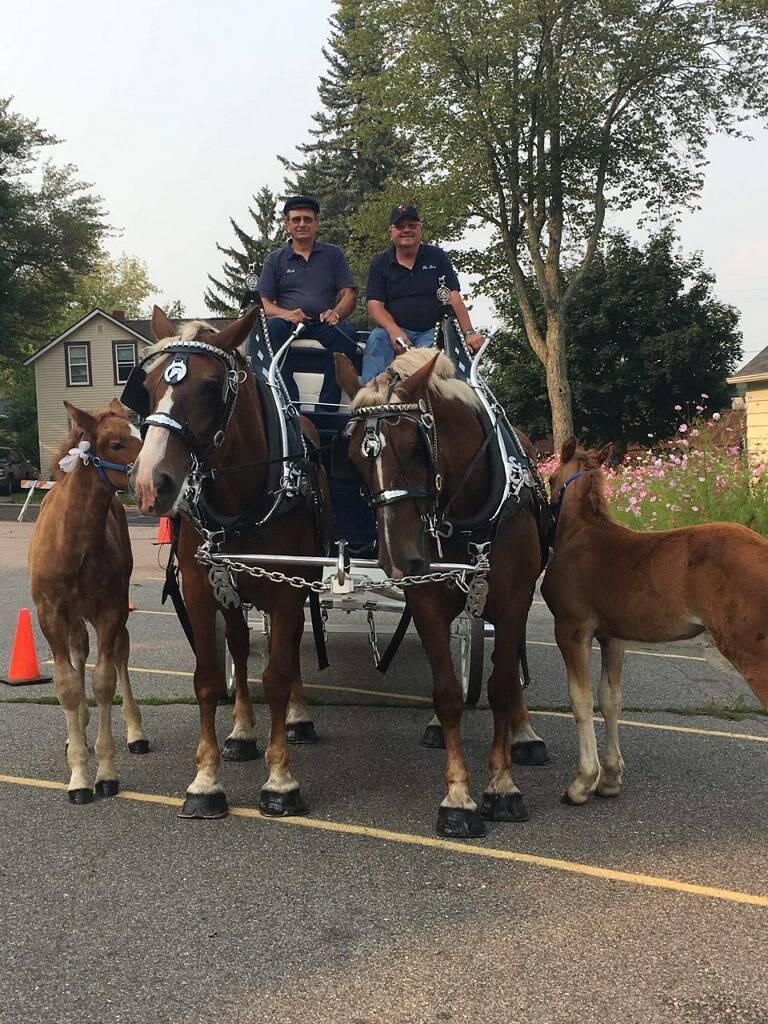 LT Club | night club | 318 S 3rd Ave, Wausau, WI 54401, USA | 7158483320 OR +1 715-848-3320