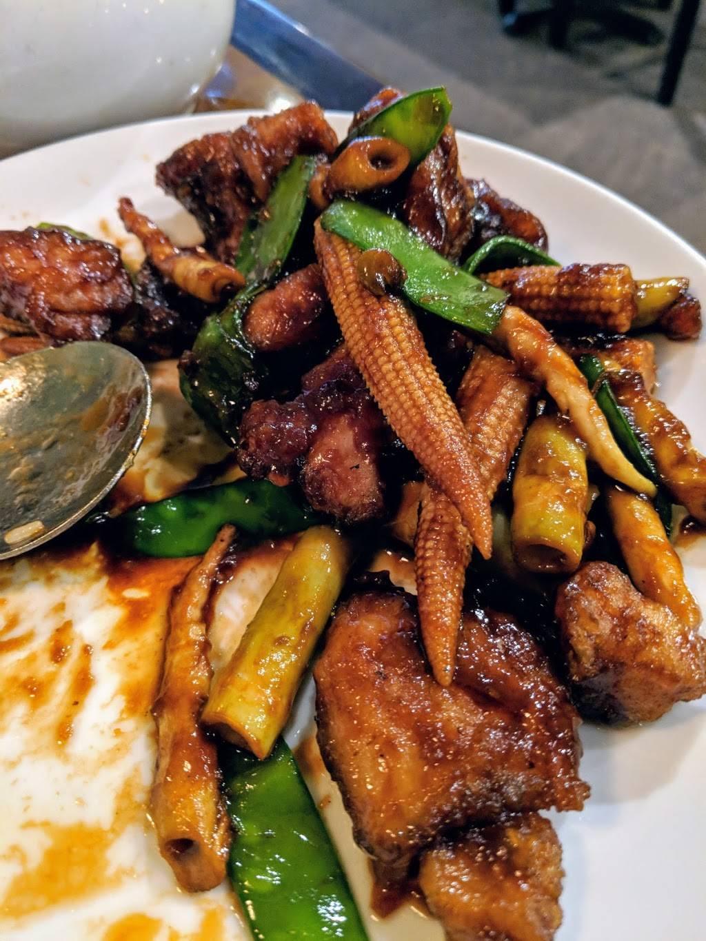 China Palace Restaurant | meal delivery | 5440 Walnut St, Pittsburgh, PA 15232, USA | 4126877423 OR +1 412-687-7423