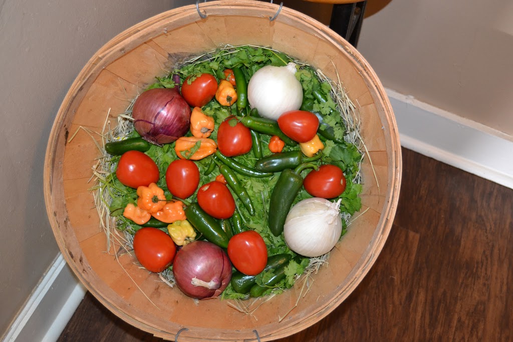 Pain Train Salsa | meal takeaway | 403 W Main St, Tomball, TX 77357, USA | 8322124375 OR +1 832-212-4375