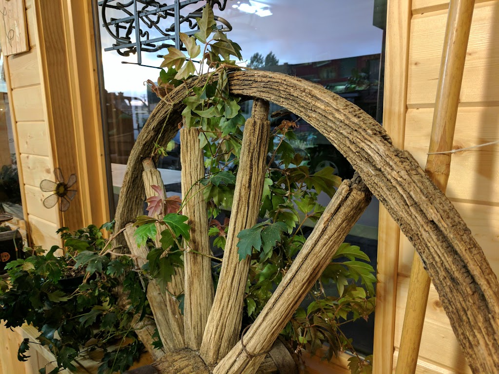 CCs Pizza | restaurant | 427 Greybull Ave, Greybull, WY 82426, USA | 3077654510 OR +1 307-765-4510