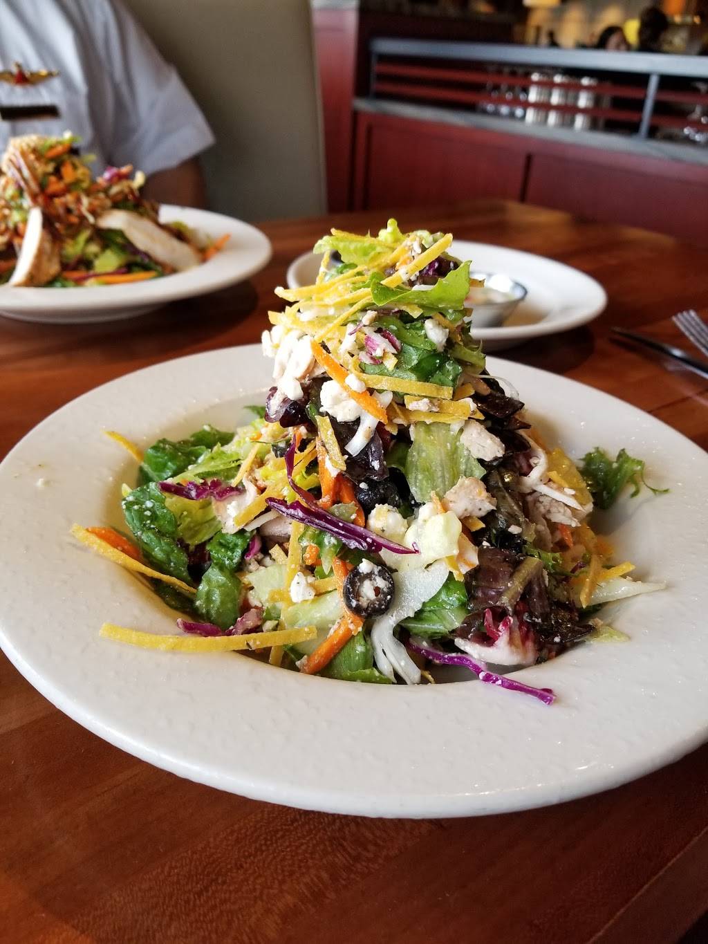 J. Alexanders Redlands Grill | restaurant | 913 N Dale Mabry Hwy, Tampa, FL 33609, USA | 8133549006 OR +1 813-354-9006