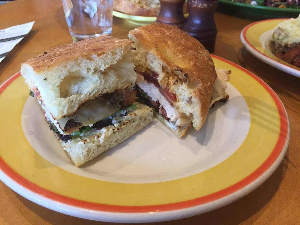 Pluto’s | meal takeaway | 3258 Scott St, San Francisco, CA 94123, USA | 4157758867 OR +1 415-775-8867