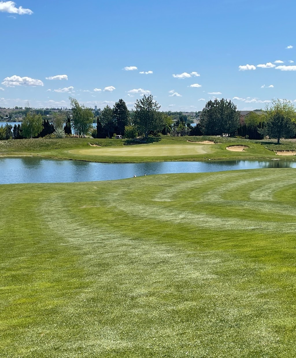 The Links at Moses Pointe | restaurant | 4524 Westshore Dr NE, Moses Lake, WA 98837, USA | 5097642275 OR +1 509-764-2275