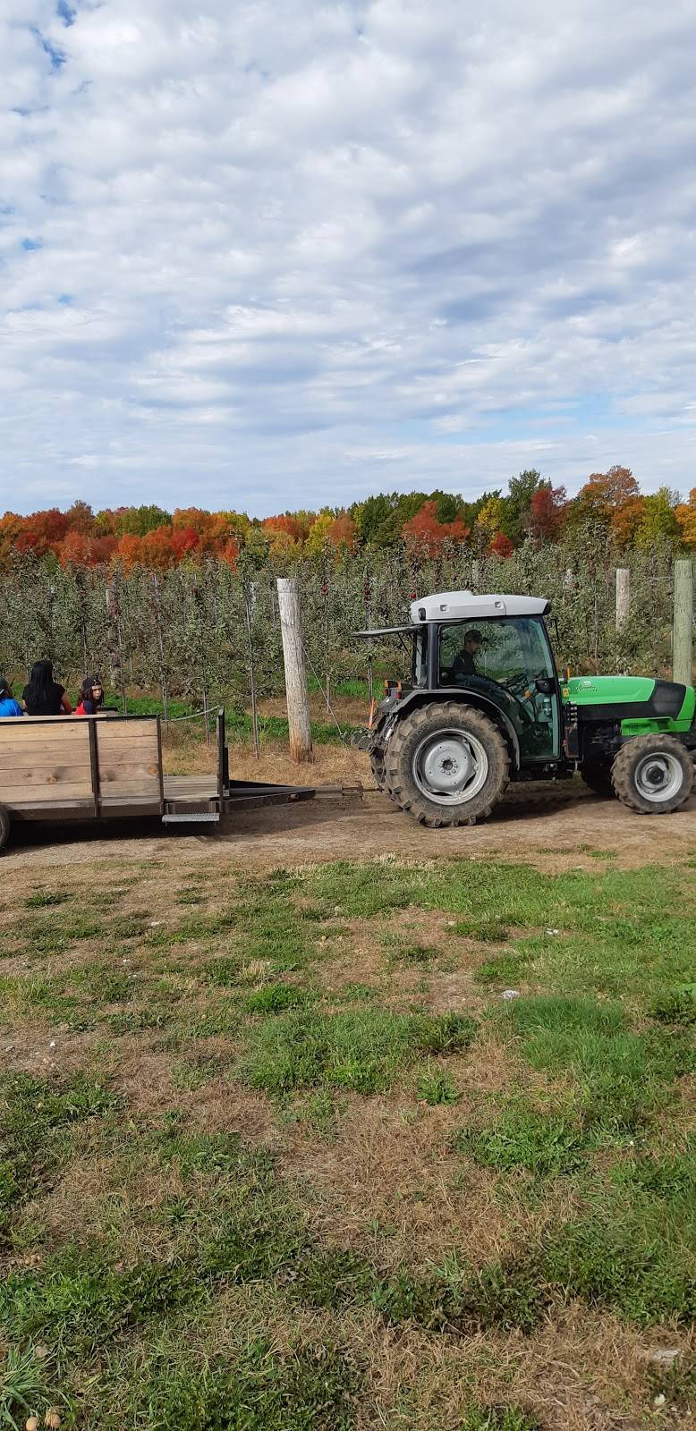 Flanklin | restaurant | 1019 QC-202, Hinchinbrooke, QC J0S 1E0, Canada | 4508272565 OR +1 450-827-2565