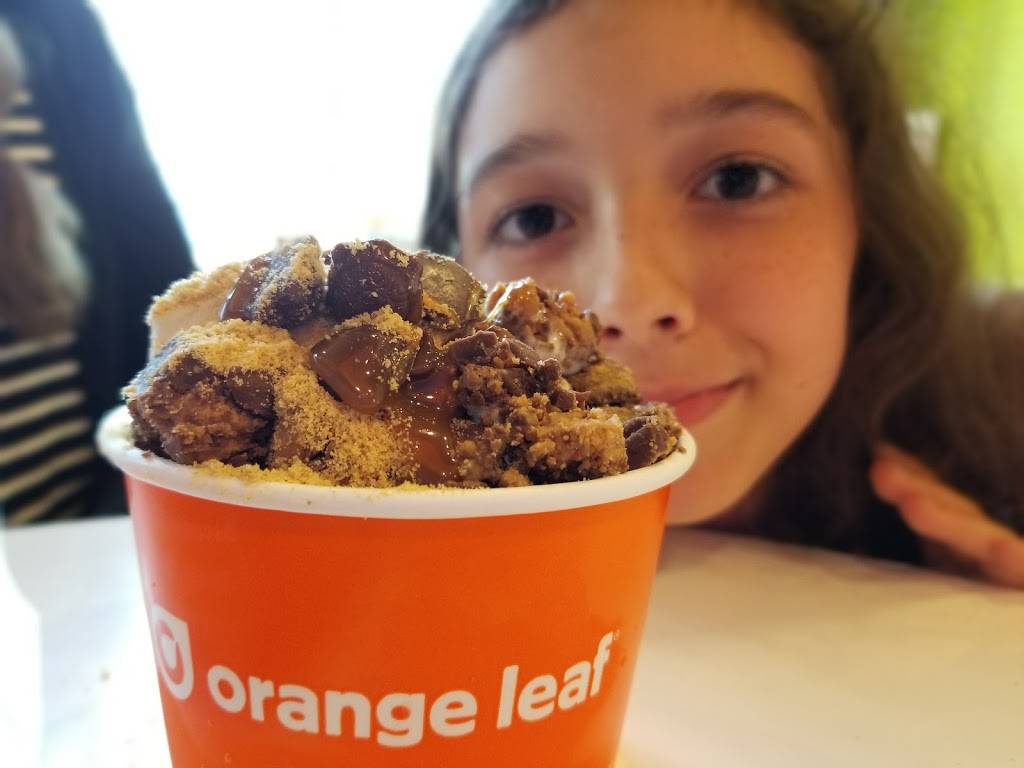 Orange Leaf Frozen Yogurt | restaurant | 1430 North Rochester Road, Rochester Hills, MI 48307, USA | 2487594890 OR +1 248-759-4890