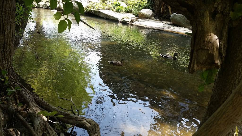 OSheas BBQ | restaurant | 543 N Main St #201, Rochester, MI 48307, USA | 2488411491 OR +1 248-841-1491