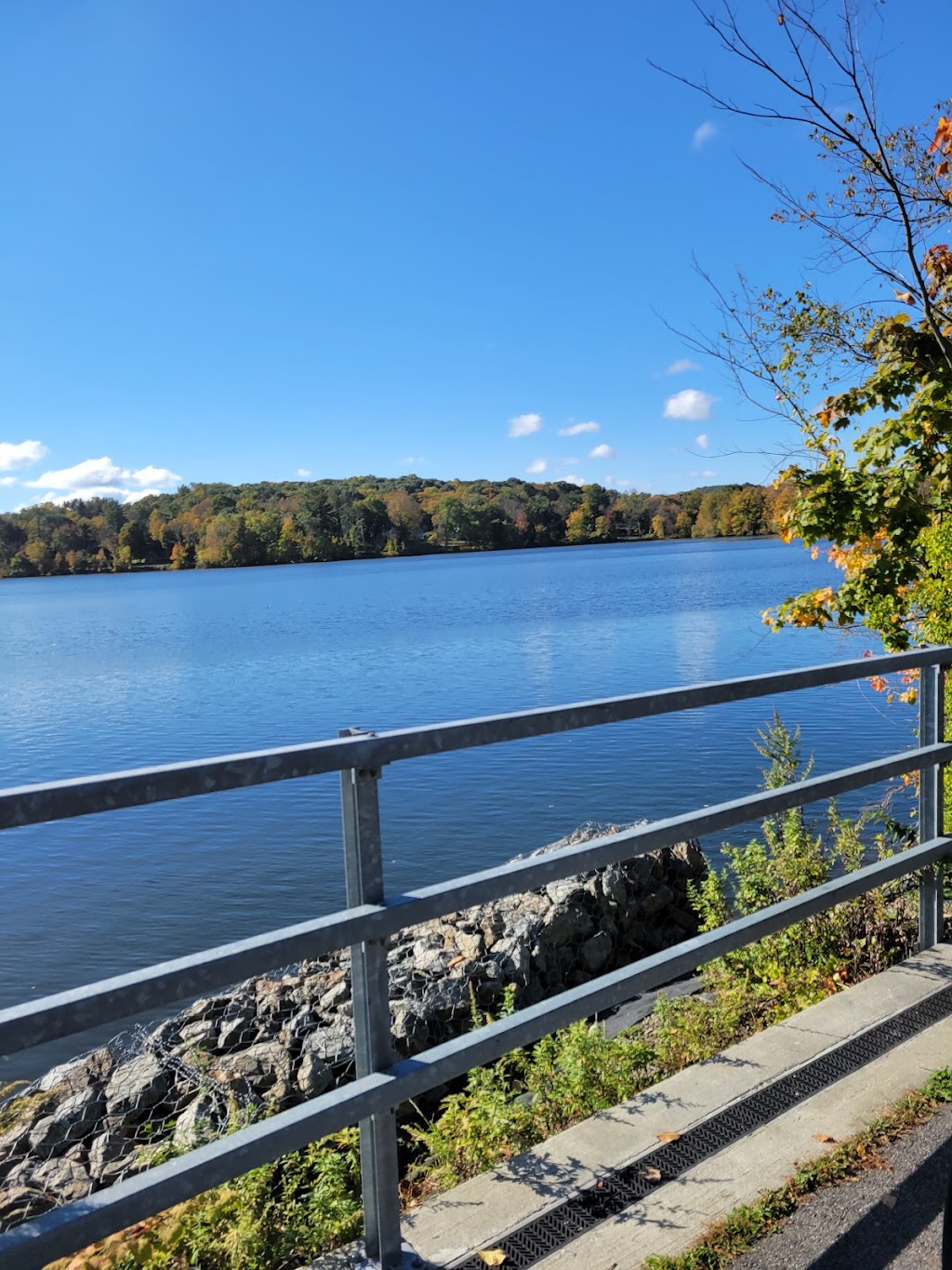 Centennial Grille Room | restaurant | 185 John Simpson Rd, Carmel Hamlet, NY 10512, USA | 8452255700 OR +1 845-225-5700