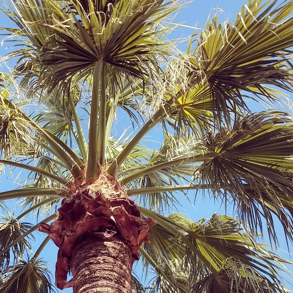 Lakeside Grill Estrella | restaurant | 17665 W Elliot Rd, Goodyear, AZ 85338, USA | 6232363047 OR +1 623-236-3047