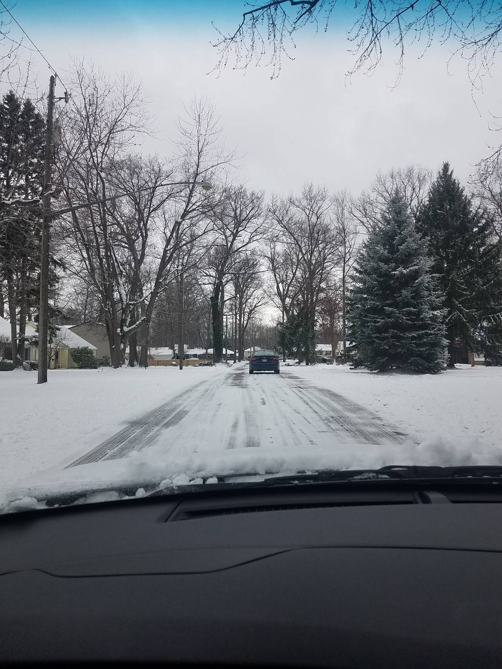 Papa Johns Pizza | restaurant | 6289 Reynolds Rd, Mentor, OH 44060, USA | 4402091901 OR +1 440-209-1901