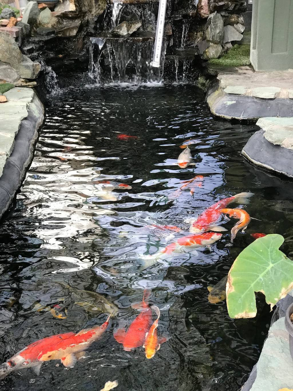 Pho Tre Bien Bistro | restaurant | 3737 N Mesa St E, El Paso, TX 79902, USA | 9153072334 OR +1 915-307-2334