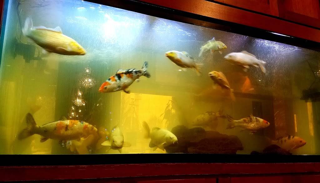 Saigon Kitchen | restaurant | 249 E Main St, Monroe, WA 98272, USA | 3607946612 OR +1 360-794-6612