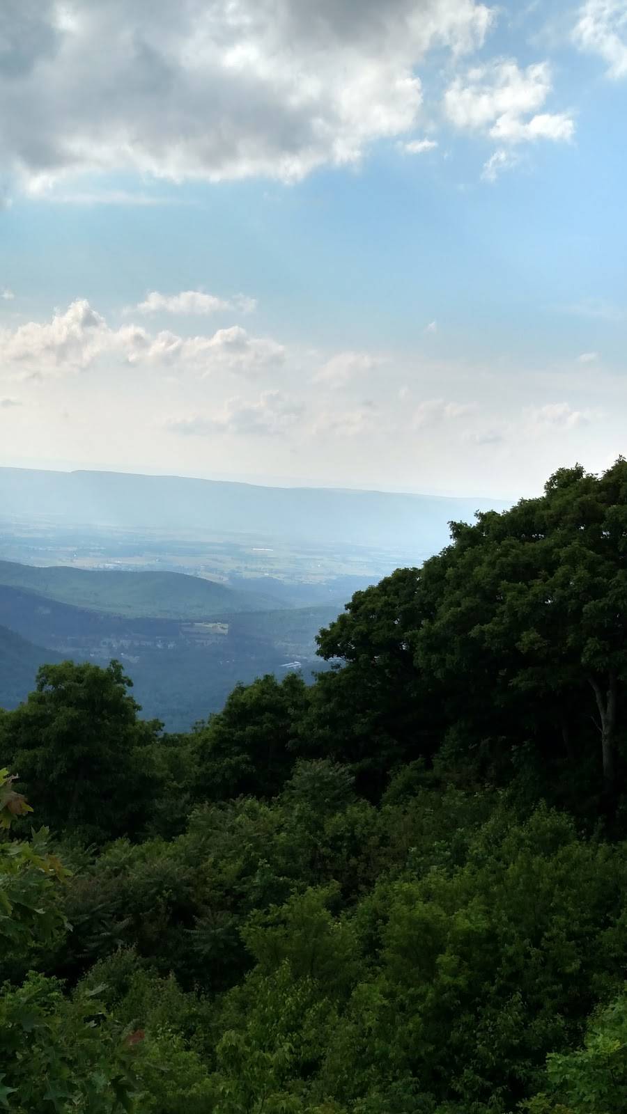 Parkhurst Restaurant | restaurant | 2547 US-211, Luray, VA 22835, USA | 5407436009 OR +1 540-743-6009