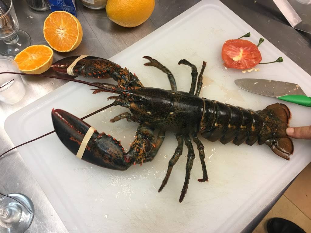 Beccofino Italian Bistro | restaurant | 5712 S MacDill Ave, Tampa, FL 33611, USA | 8138980804 OR +1 813-898-0804