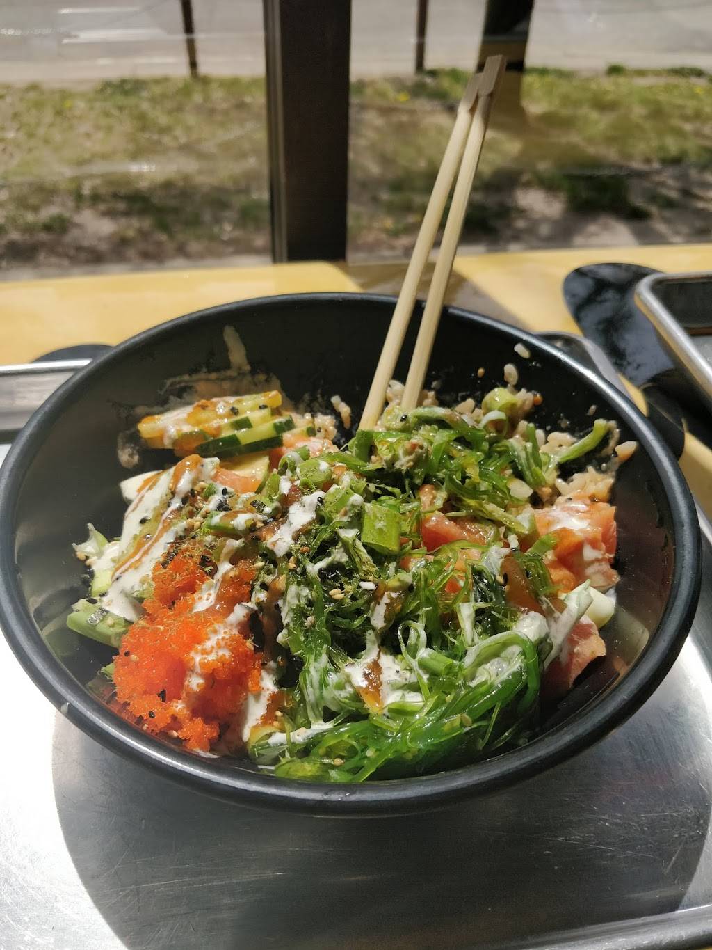 Pokiology | restaurant | 4600 N Magnolia Ave, Chicago, IL 60640, USA | 7739617624 OR +1 773-961-7624