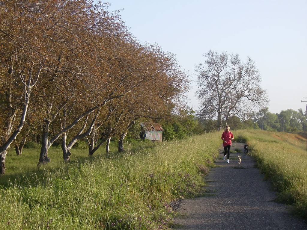 Loveys Landing Prices | restaurant | 3474 N Meridian Rd, Meridian, CA 95957, USA | 5306962449 OR +1 530-696-2449