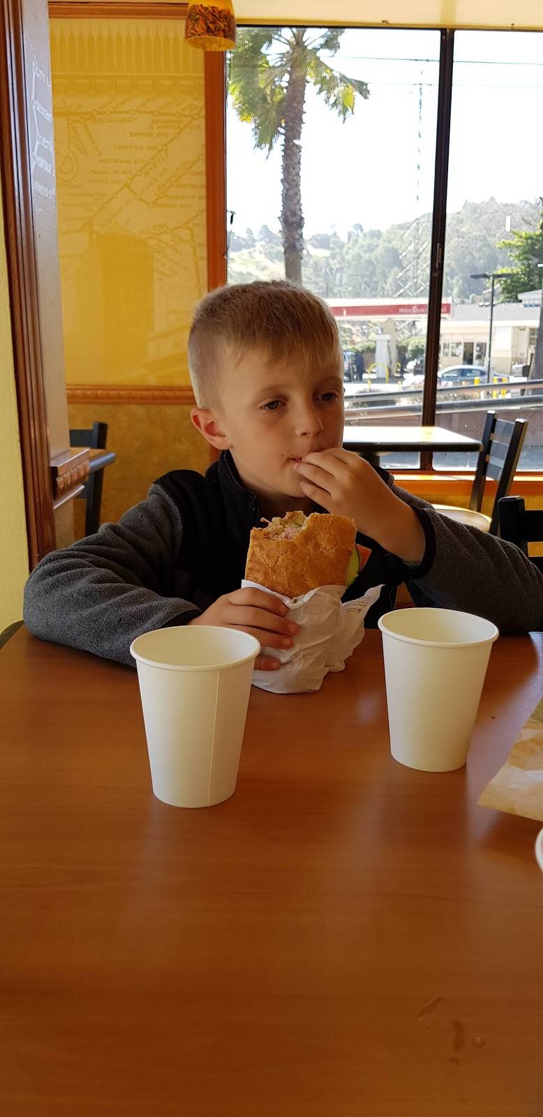 Subway Restaurants | restaurant | 256 Shoreline Hwy, Mill Valley, CA 94941, USA | 4153840215 OR +1 415-384-0215