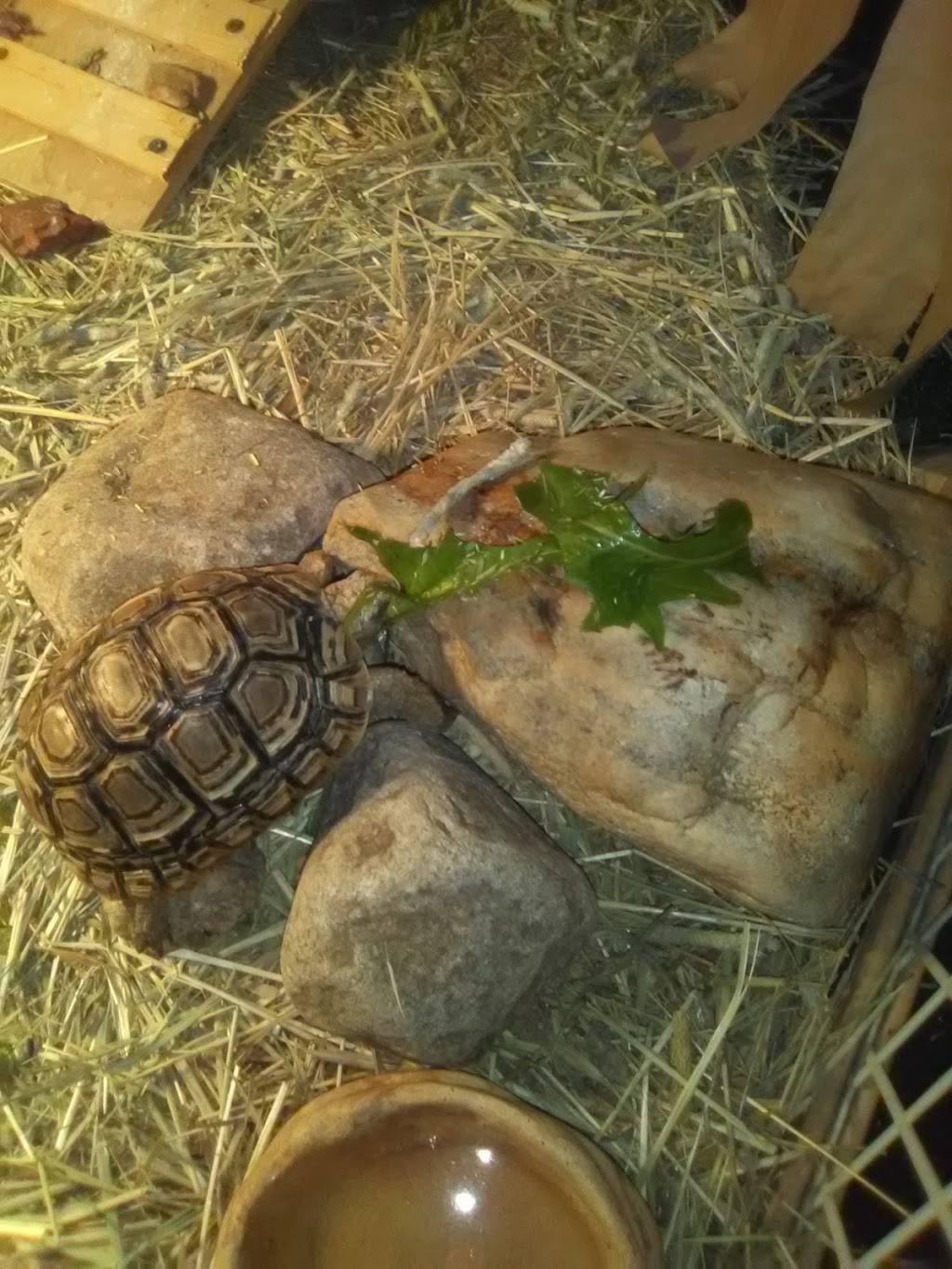 Guys Foods | restaurant | 1056 W Ashland Ave, Glenolden, PA 19036, USA | 6105325200 OR +1 610-532-5200