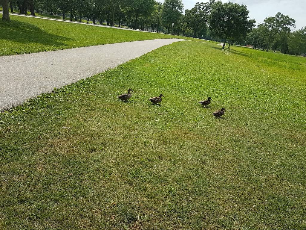 City Park | restaurant | 200 Park Rd, Iowa City, IA 52246, USA | 3193565100 OR +1 319-356-5100