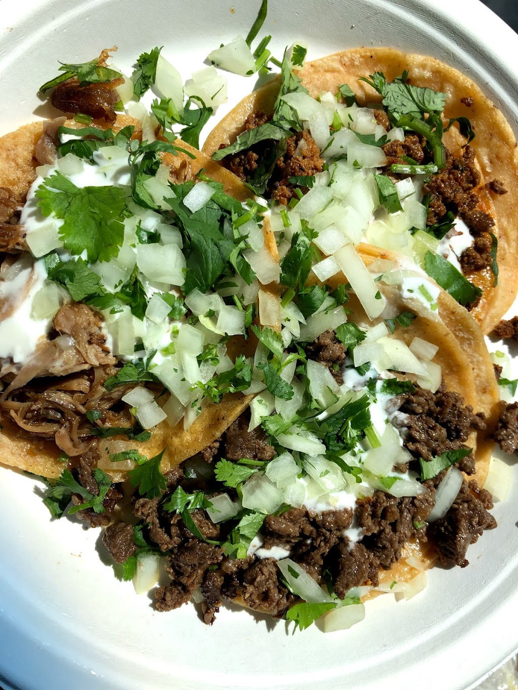 La Flor De Jalisco | restaurant | 2031 Macdonald Ave, Richmond, CA 94801, USA | 5102150240 OR +1 510-215-0240