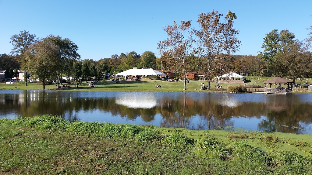 Villa Antonio Winery | restaurant | 3660 Linhorst Rd, Hillsboro, MO 63050, USA | 6364755008 OR +1 636-475-5008