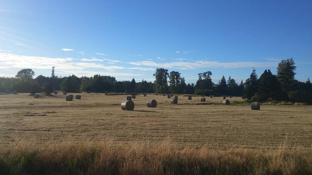 Dairy Queen Grill & Chill | restaurant | 5631 Riverside Dr, Ferndale, WA 98248, USA | 3603841312 OR +1 360-384-1312