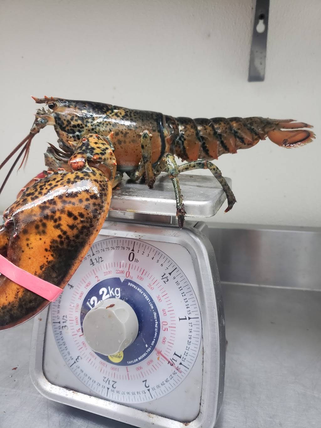 spicy & juicy orlando | restaurant | 7365 W Colonial Dr, Orlando, FL 32818, USA | 4077515028 OR +1 407-751-5028