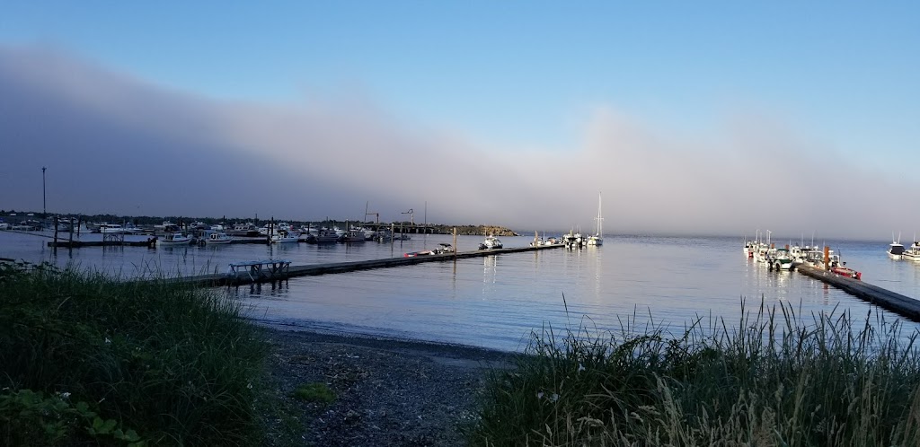 By the Bay Cafe | restaurant | 343 Front St, Sekiu, WA 98381, USA | 3609632998 OR +1 360-963-2998