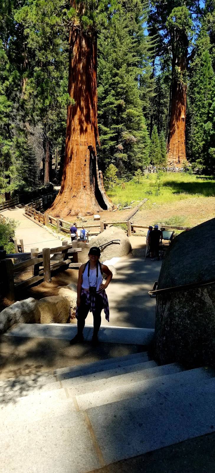 La Morenita | restaurant | 1320 La Puerta St, Los Angeles, CA 90023, USA | 3232659722 OR +1 323-265-9722