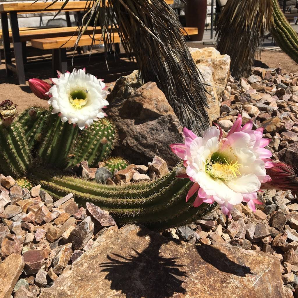 Three Canyon Beer and Wine Garden | restaurant | 4999 N Sabino Canyon Rd, Tucson, AZ 85750, USA | 5209007866 OR +1 520-900-7866