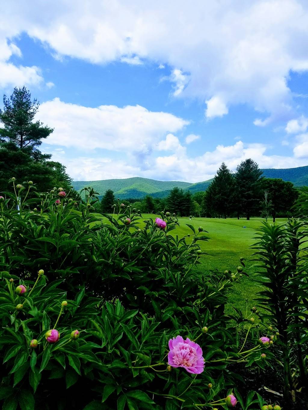 The W Bar + Grill | restaurant | 137 New Ashford Rd, Williamstown, MA 01267, USA | 4134585869 OR +1 413-458-5869