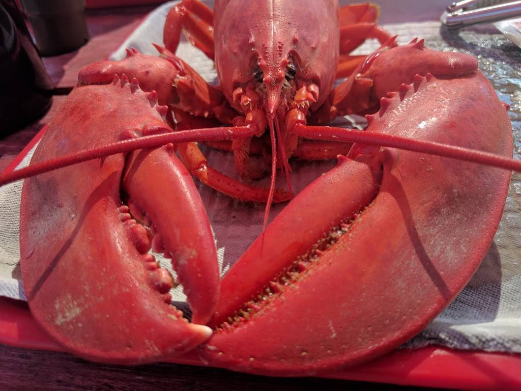 Round Pond Lobster Co-op Restaurant | restaurant | Round Pond, ME 04564, USA | 2075295725 OR +1 207-529-5725
