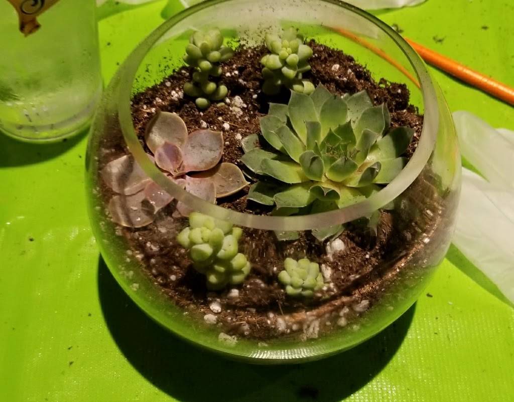 Colony 274 | restaurant | 274 4th Ave, Brooklyn, NY 11215, USA | 9179090296 OR +1 917-909-0296