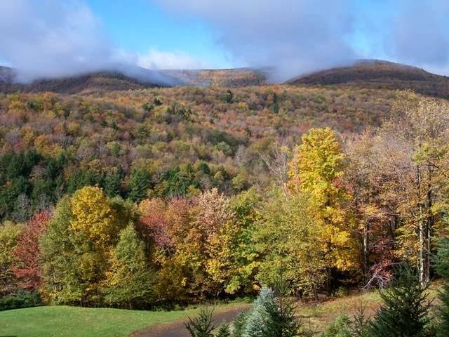 Slide Mountain Forest House | restaurant | 805 Oliverea Rd, Big Indian, NY 12410, USA | 8452545365 OR +1 845-254-5365