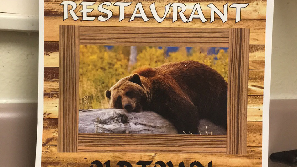 The Lazy Bear Restaurant | restaurant | 285 W Main St, New Castle, CO 81647, USA | 9709842327 OR +1 970-984-2327