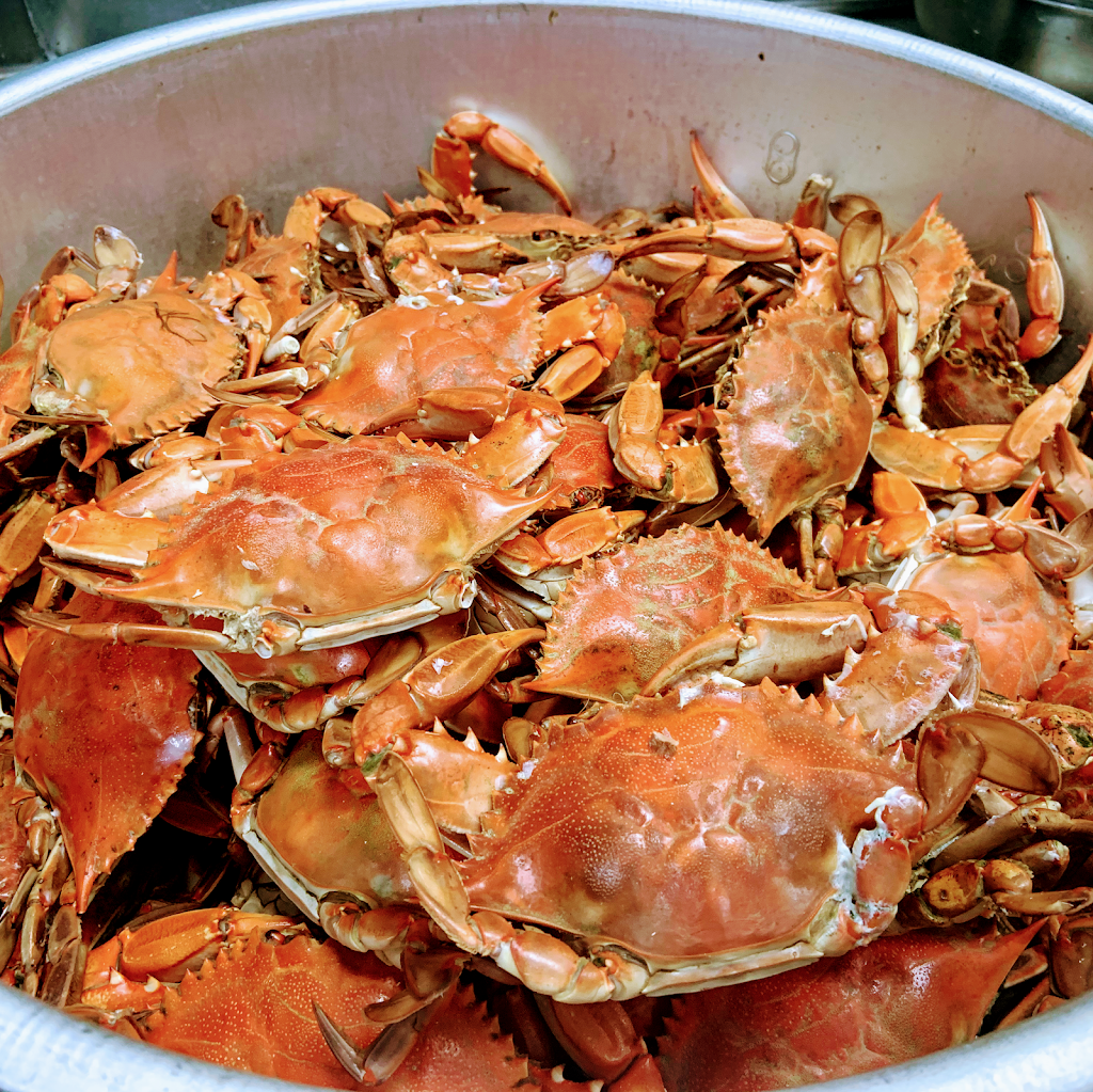 Juicy Seafood Sarasota | restaurant | 560 N Washington Blvd, Sarasota, FL 34236, USA | 9415528973 OR +1 941-552-8973