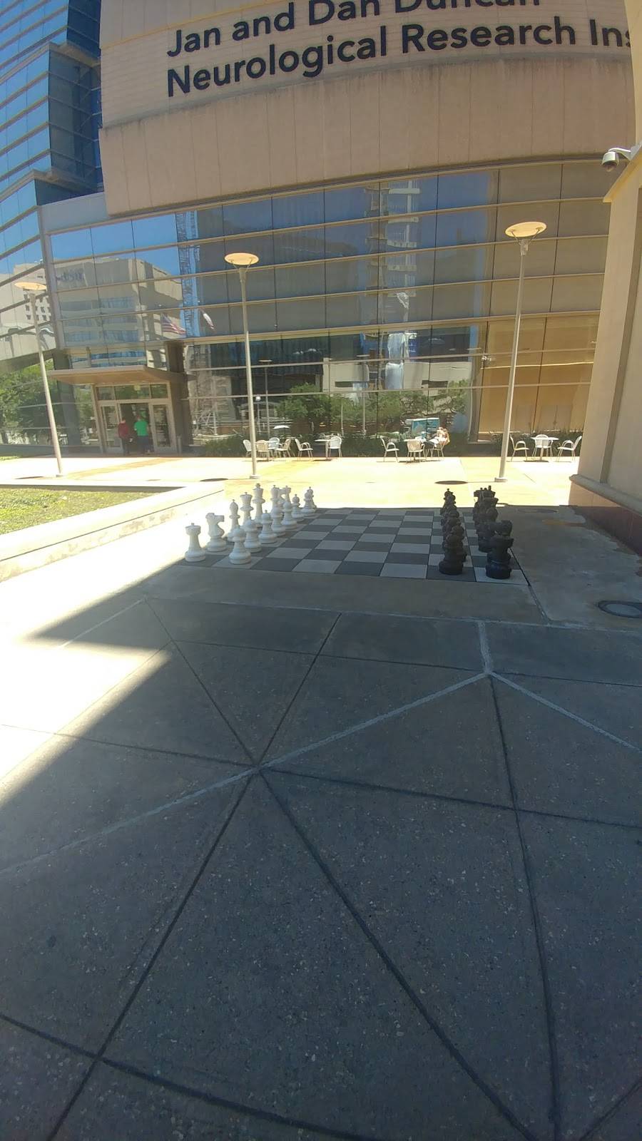 Chick-fil-A | restaurant | 6550 Bertner Ave, Houston, TX 77030, USA | 7137490477 OR +1 713-749-0477