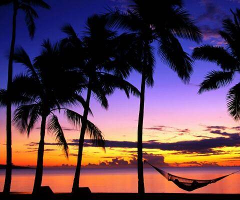 Dunkin Donuts | cafe | 1030 154th St, Whitestone, NY 11357, USA | 7187670009 OR +1 718-767-0009