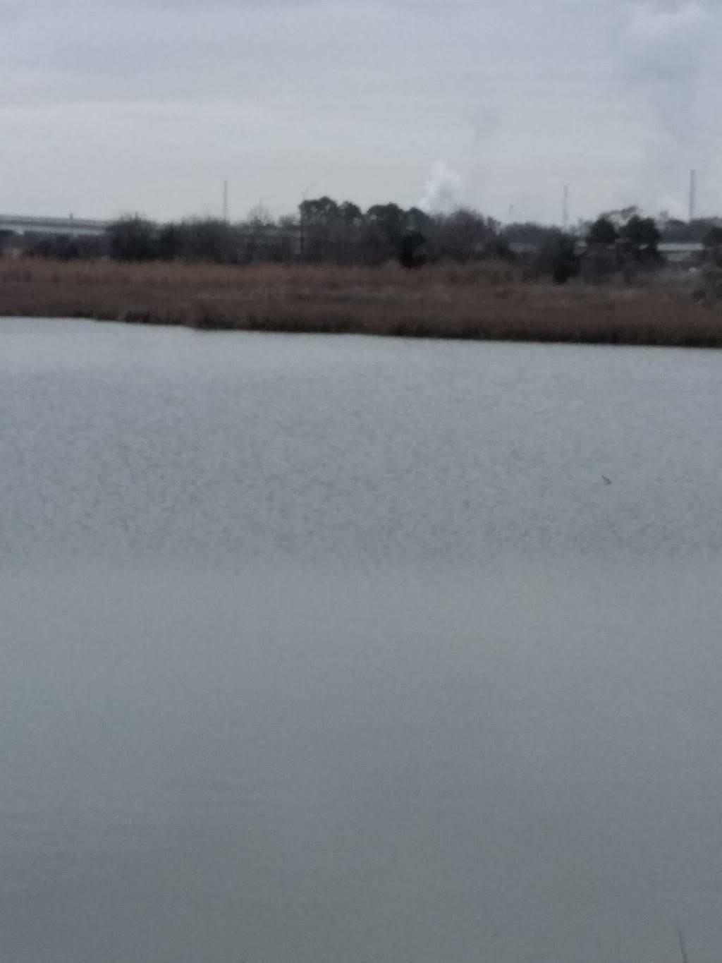 Whites Multicultural Center | restaurant | 307 N Erskine St, Angleton, TX 77515, USA | 9798644334 OR +1 979-864-4334