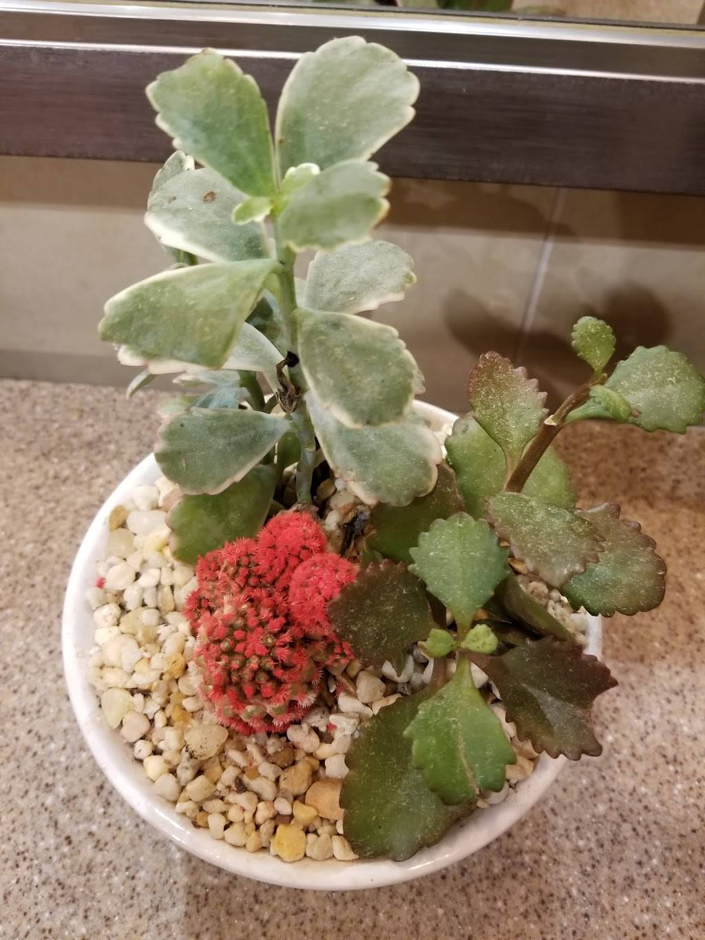 Culvers | restaurant | 1904 N Main St, Summerville, SC 29486, USA | 8439005565 OR +1 843-900-5565