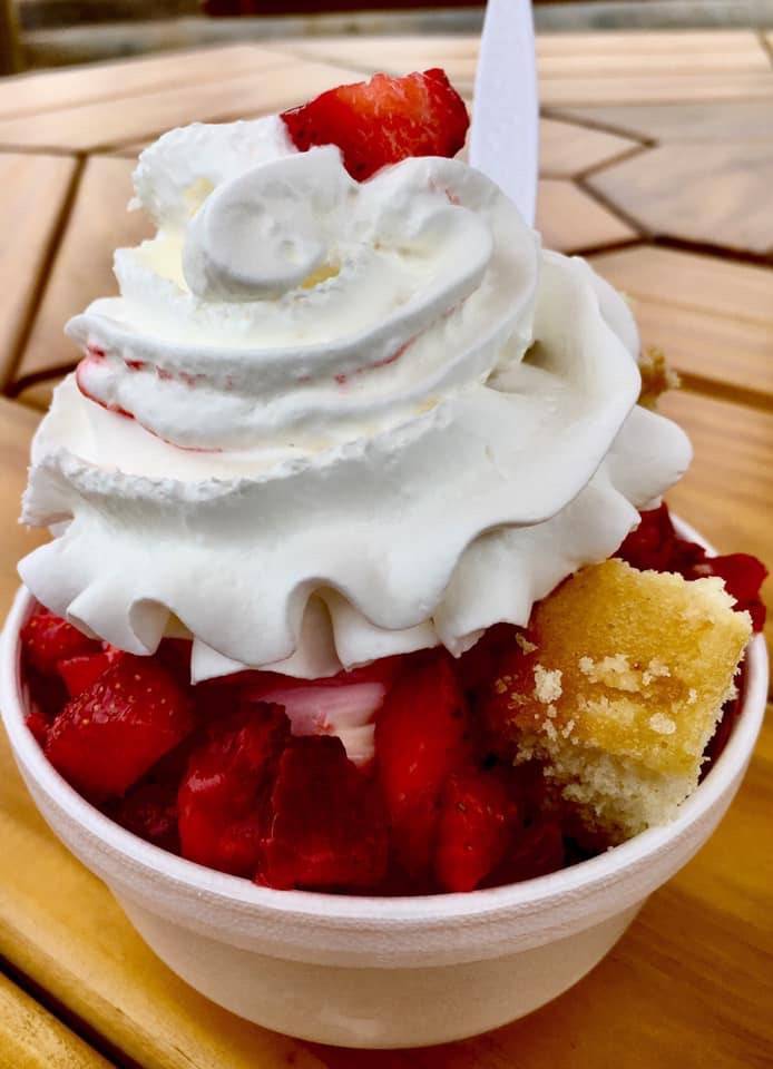 Plum Creek Farm Market & Creamery | restaurant | 5035 Bernville Rd #8219, Bernville, PA 19506, USA | 4847728271 OR +1 484-772-8271