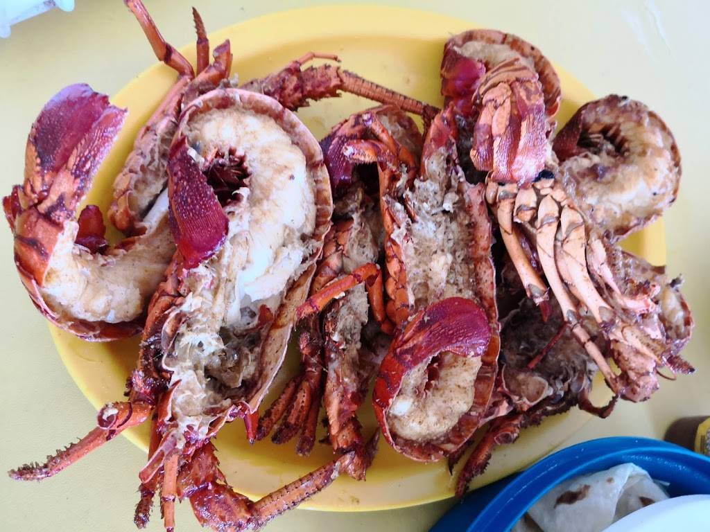 Restaurant Bar El Guero | restaurant | Anzuelo 15, Puerto Nuevo, 22716 Rosarito, B.C., Mexico | 016616141702 OR +52 661 614 1702