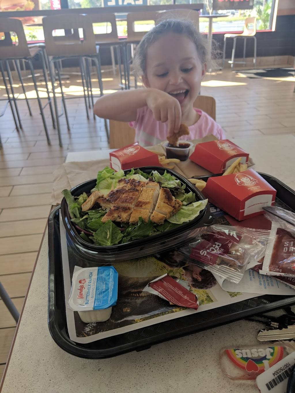 Wendys | restaurant | 4240 US Hwy 19 South, New Port Richey, FL 34652, USA | 7278486156 OR +1 727-848-6156