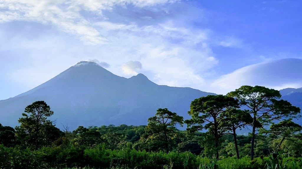 Birrieria San Marcos | restaurant | 5623 Lankershim Blvd, North Hollywood, CA 91601, USA | 8182976041 OR +1 818-297-6041