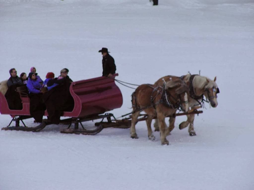 Snowed Inn Sleigh Co. Restaurant | restaurant | 310 Lowell Ave, Park City, UT 84060, USA | 4356473310 OR +1 435-647-3310