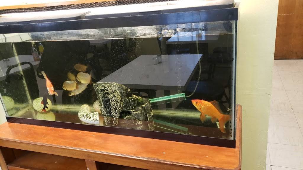 Farm Cafe | cafe | 14850 Farm Creek Dr, Woodbridge, VA 22191, USA | 7034903204 OR +1 703-490-3204