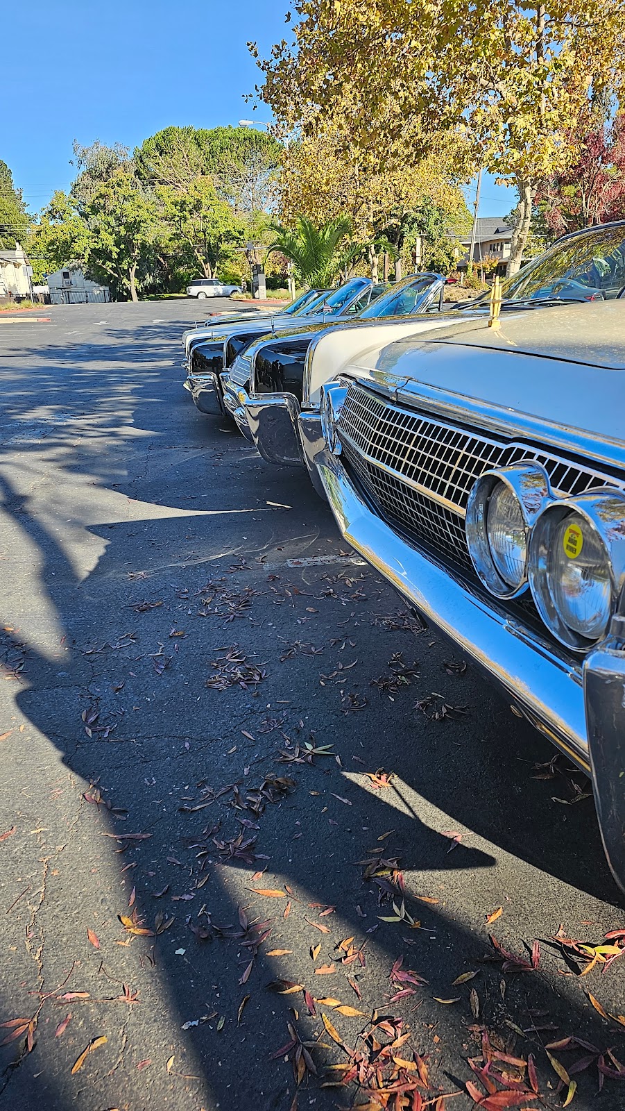 The Lincoln Napa | restaurant | 505 Lincoln Ave, Napa, CA 94558, USA | 7076992276 OR +1 707-699-2276