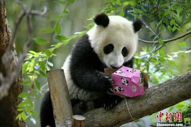 Hunan House | restaurant | 382 Summit Ave, Jersey City, NJ 07306, USA | 2018769908 OR +1 201-876-9908