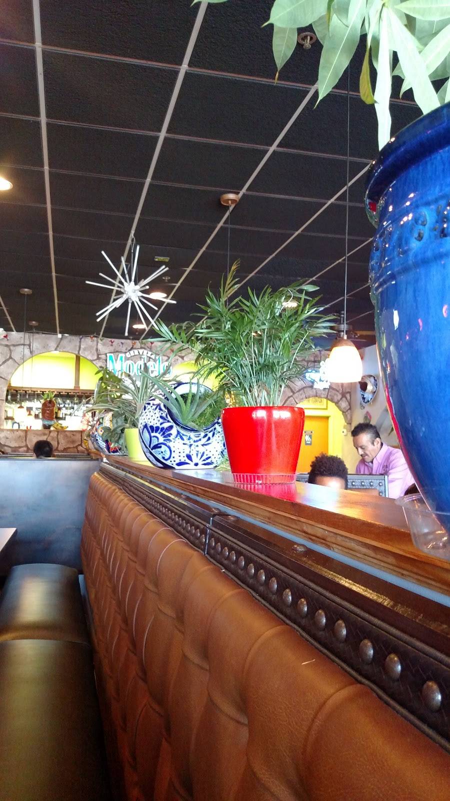 Fiesta Mexicana NC Cary | restaurant | 2839 Jones Franklin Rd, Raleigh, NC 27606, USA | 9198591303 OR +1 919-859-1303