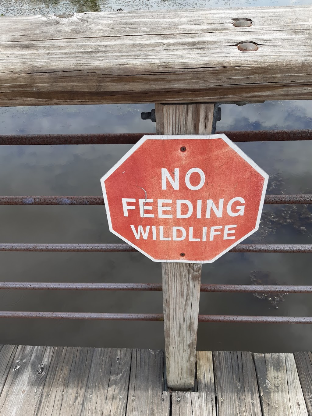 Vine Valley Foods | restaurant | 1450 N Portage Path, Akron, OH 44313, USA | 3308656777 OR +1 330-865-6777